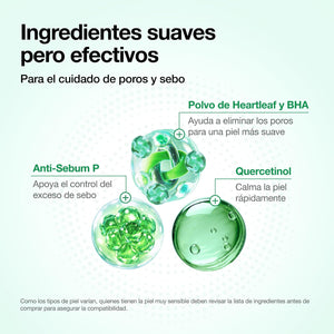 Ingredientes clave de la espuma limpiadora Heartleaf Quercetinol de ANUA