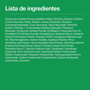 Lista de ingredientes de la espuma limpiadora Heartleaf Quercetinol de ANUA