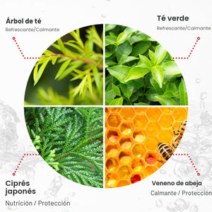 Ingredientes clave del sérum Benton Snail Bee: árbol de té, té verde, ciprés japonés y veneno de abeja