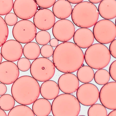 Ceramidas
