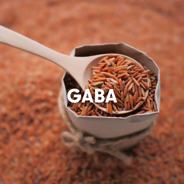 GABA, uno de los ingredientes de Restore de Sascha Fitness