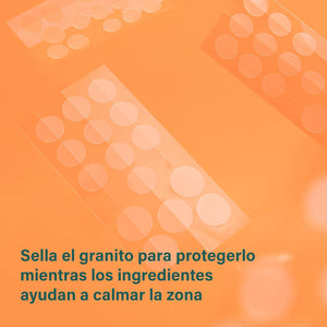 Los parches Bes-tea de Meisani sellan el granito mientras los ingredientes calman la zona