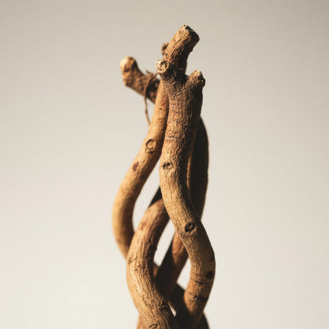 Ashwagandha Sensoril®