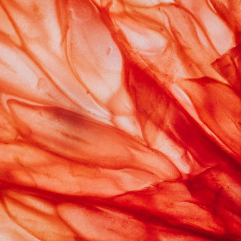 Vitamina C