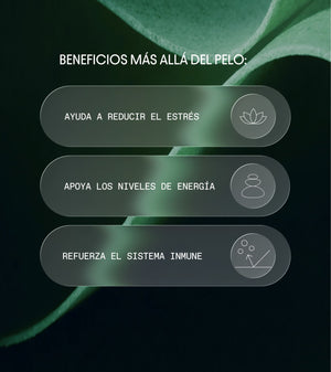 Complemento Capilar Anticaída para Hombre 28u - Olistic