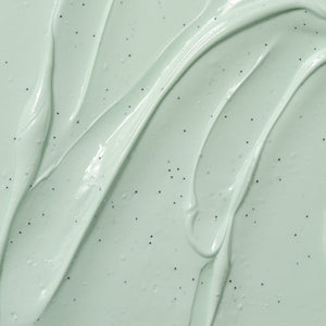 Textura verde menta de la pasta de dientes Mint Chocolate de Toosty